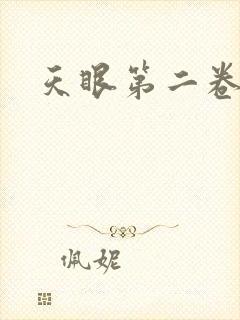 天眼第二卷