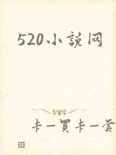 520小说网