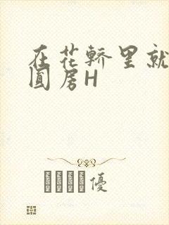 在花轿里就开始圆房H