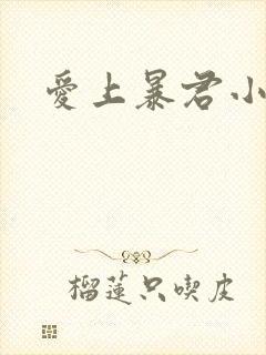 爱上暴君小甜心