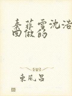 秦菲雪沈浩第几回做的