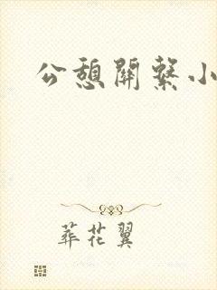 公憩关系小说