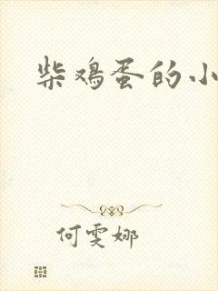 柴鸡蛋的小说
