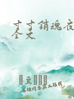 寸寸销魂夜春光全文