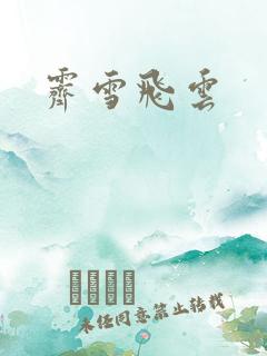 霁雪飞云