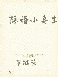 隐婚小妻生个娃