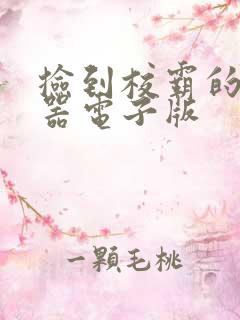 捡到校霸的遥控器电子版