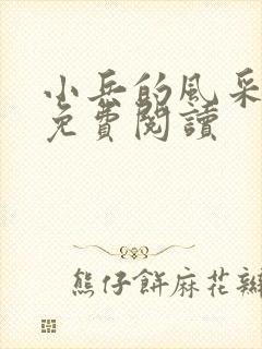 小兵的风采小说免费阅读