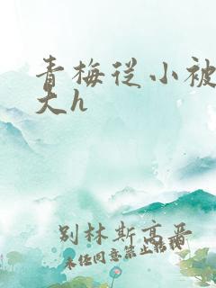 青梅从小被弄到大h