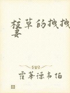 校草的拽拽未婚妻