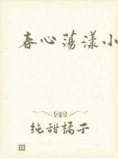 春心荡漾小说