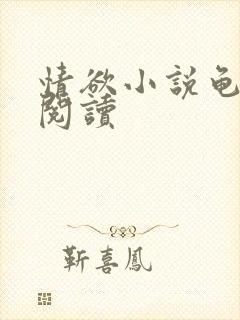 情欲小说龟全文阅读