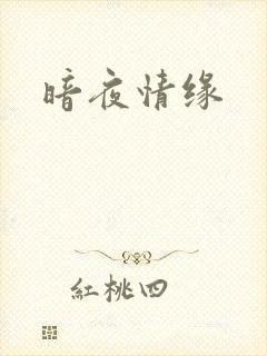 暗夜情缘