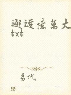 邂逅亿万大人物txt