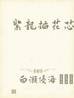 紫龙插花芯方正