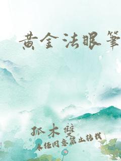 黄金法眼笔趣阁