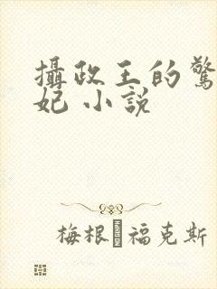 摄政王的惊世嫡妃 小说