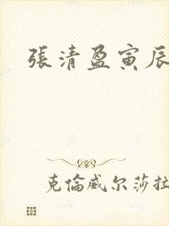 张清盈寅辰小说