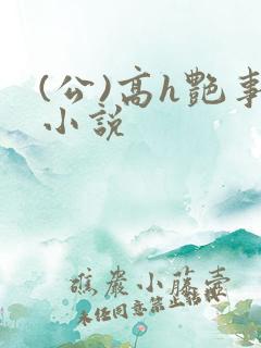 (公)高h艳事小说