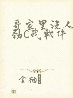 哥家里没人使点劲C我软件