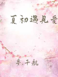 夏初遇见爱