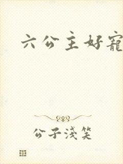 六公主好宠