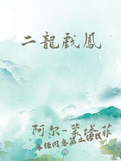 二龙戏凤