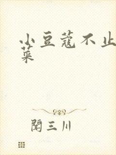 小豆蔻不止是颗菜