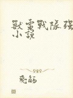 兽电战队强龙者小说