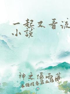 一起又看流星雨小说