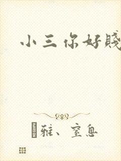 小三你好贱下载