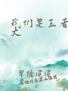 我们是王者立海大