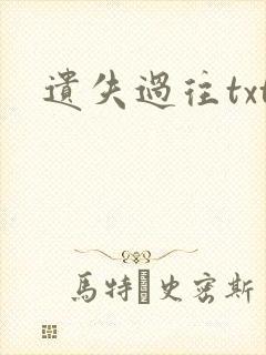 遗失过往txt