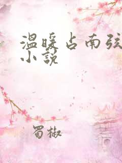 温暖占南弦尹衿小说