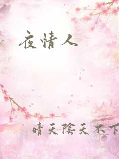 夜情人