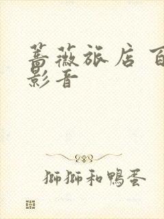 蔷薇旅店 百度影音