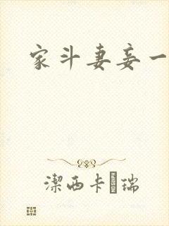 家斗妻妾一家欢