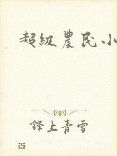 超级农民小说