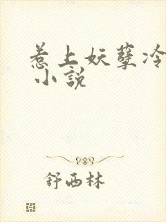 惹上妖孽冷殿下 小说