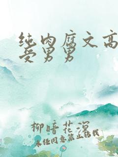 纯肉腐文高H总受男男