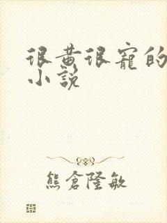 很黄很宠的总裁小说