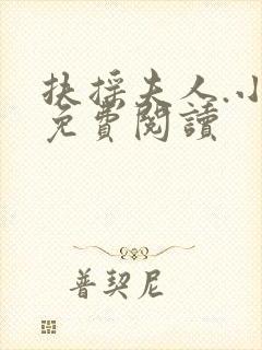 扶摇夫人.小说免费阅读