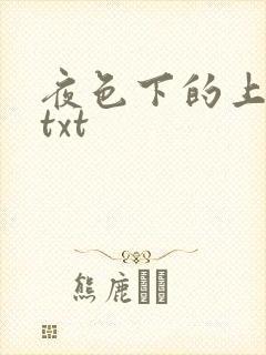 夜色下的上海滩txt