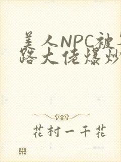 美人NPC被各路大佬爆炒小说