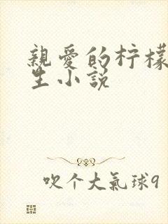 亲爱的柠檬精先生小说