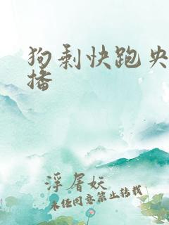 狗剩快跑央八首播