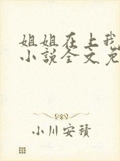 姐姐在上我在下小说全文免费阅读