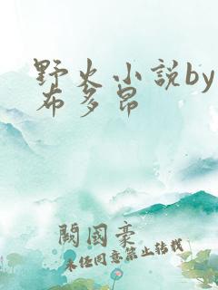 野火小说by夏布多昂