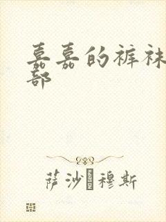嘉嘉的裤袜第二部