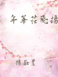 年华庄飞扬